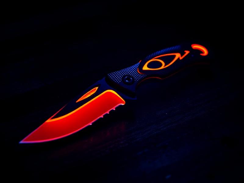 ★ Karambit Fade (100%)
